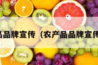 农产品品牌宣传（农产品品牌宣传主题）