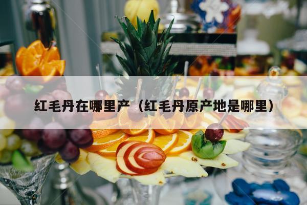 红毛丹在哪里产（红毛丹原产地是哪里）