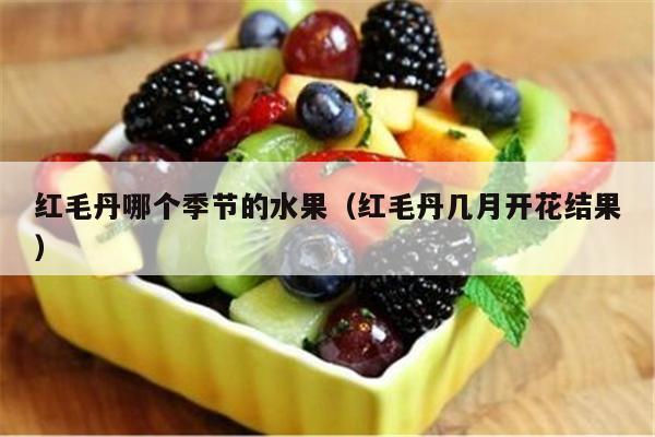红毛丹哪个季节的水果（红毛丹几月开花结果）