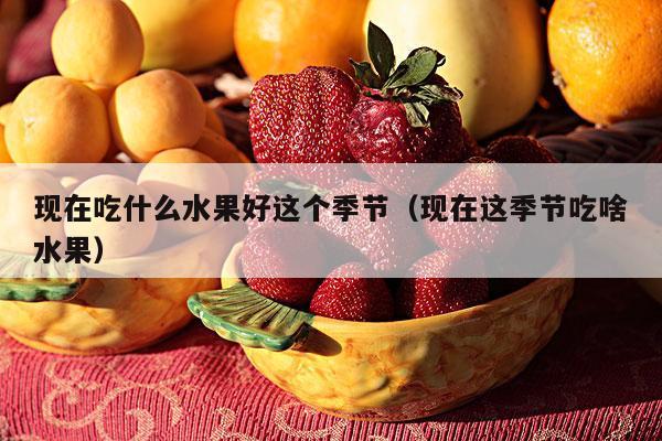 现在吃什么水果好这个季节（现在这季节吃啥水果）