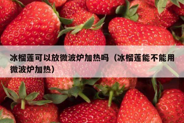 冰榴莲可以放微波炉加热吗（冰榴莲能不能用微波炉加热）