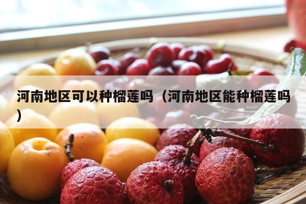 河南地区可以种榴莲吗（河南地区能种榴莲吗）