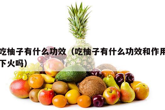 吃柚子有什么功效（吃柚子有什么功效和作用下火吗）