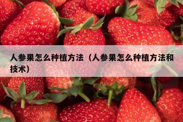 人参果怎么种植方法（人参果怎么种植方法和技术）