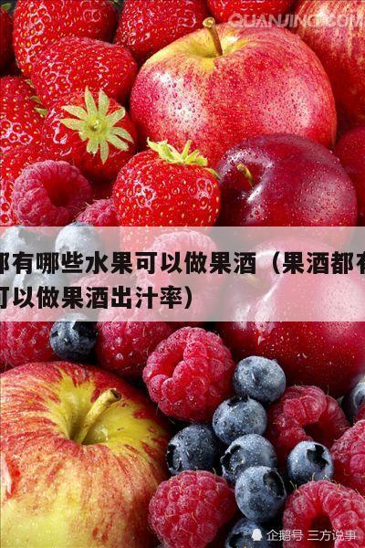 果酒都有哪些水果可以做果酒（果酒都有哪些水果可以做果酒出汁率）