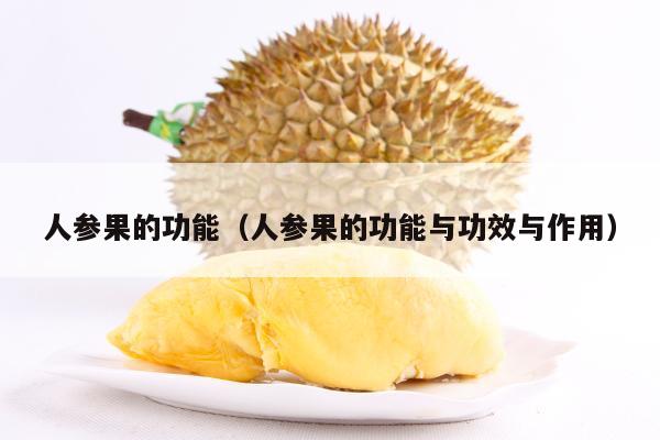 人参果的功能（人参果的功能与功效与作用）