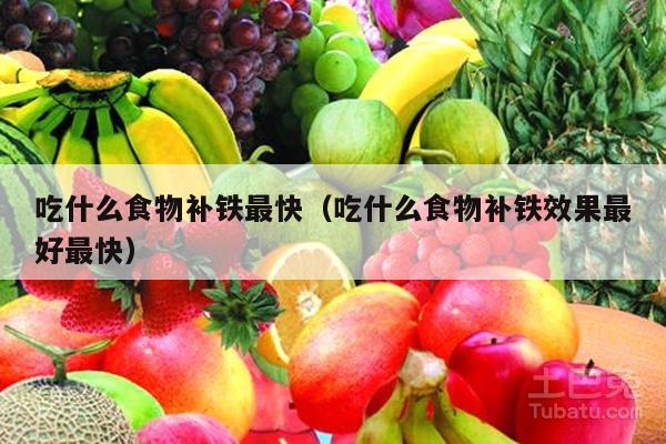 吃什么食物补铁最快（吃什么食物补铁效果最好最快）