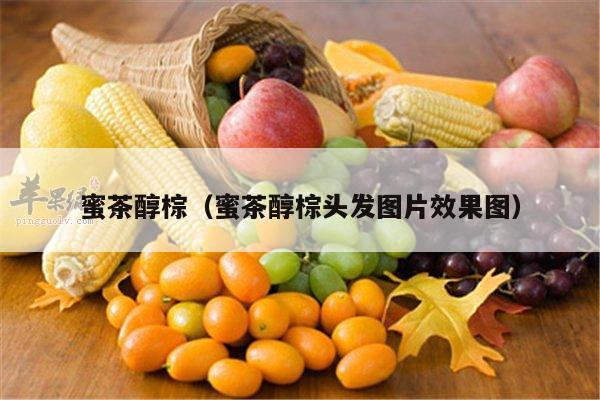 蜜茶醇棕（蜜茶醇棕头发图片效果图）