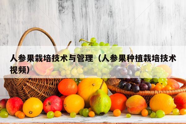 人参果栽培技术与管理（人参果种植栽培技术视频）