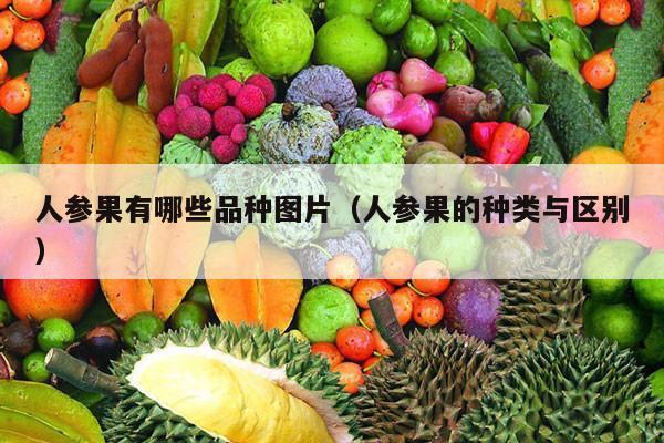 人参果有哪些品种图片（人参果的种类与区别）