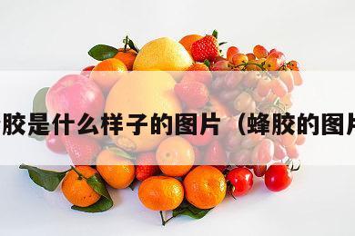 蜂胶是什么样子的图片（蜂胶的图片）