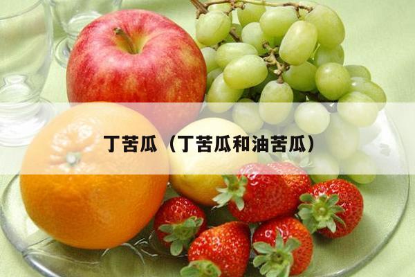 丁苦瓜（丁苦瓜和油苦瓜）