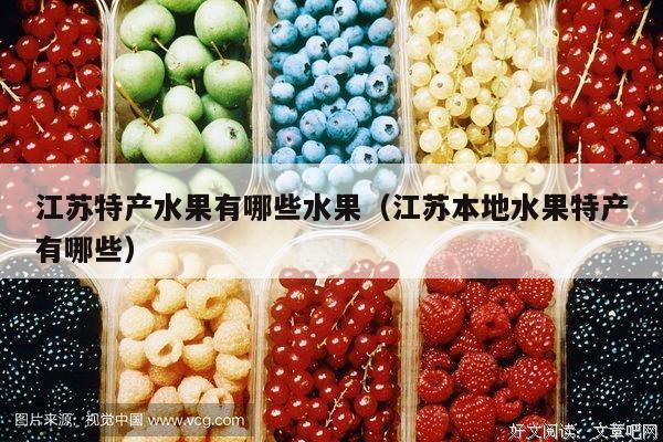 江苏特产水果有哪些水果（江苏本地水果特产有哪些）