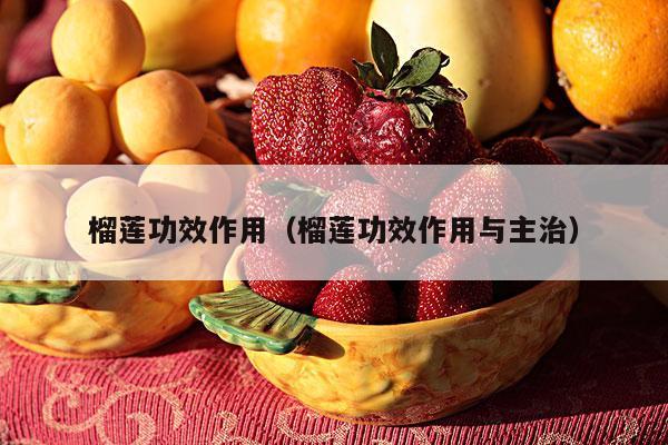 榴莲功效作用（榴莲功效作用与主治）