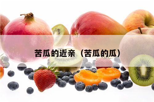 苦瓜的近亲（苦瓜的瓜）