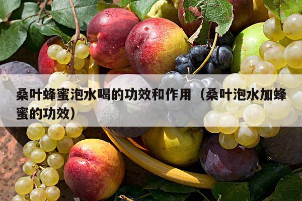桑叶蜂蜜泡水喝的功效和作用（桑叶泡水加蜂蜜的功效）