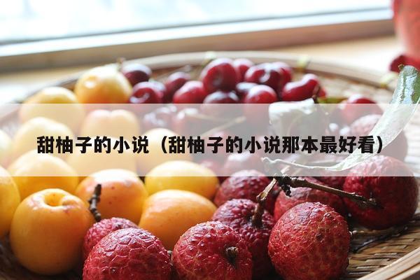 甜柚子的小说（甜柚子的小说那本最好看）