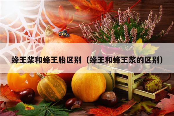 蜂王浆和蜂王胎区别（蜂王和蜂王浆的区别）