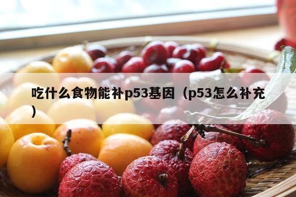 吃什么食物能补p53基因（p53怎么补充）