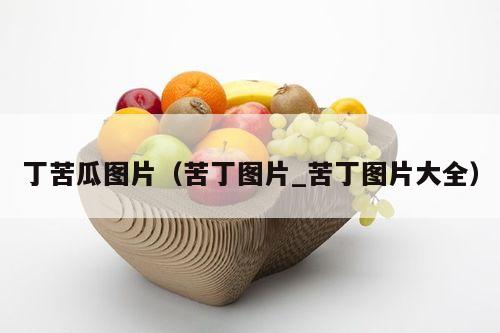 丁苦瓜图片（苦丁图片_苦丁图片大全）