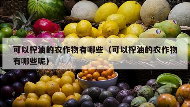 可以榨油的农作物有哪些（可以榨油的农作物有哪些呢）