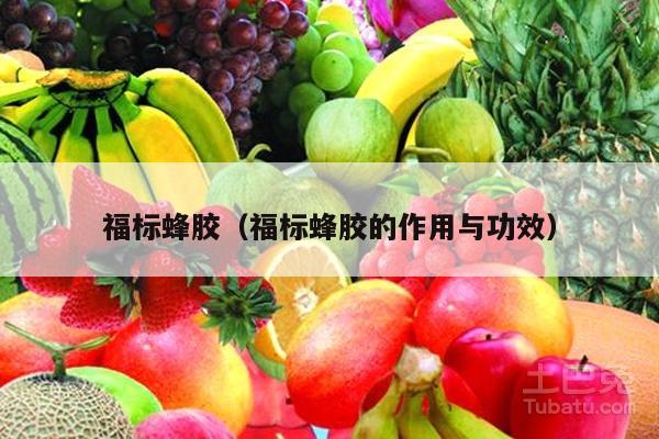 福标蜂胶（福标蜂胶的作用与功效）