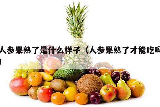 人参果熟了是什么样子（人参果熟了才能吃吗）