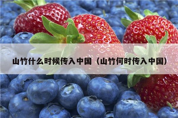 山竹什么时候传入中国（山竹何时传入中国）