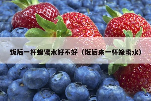饭后一杯蜂蜜水好不好（饭后来一杯蜂蜜水）