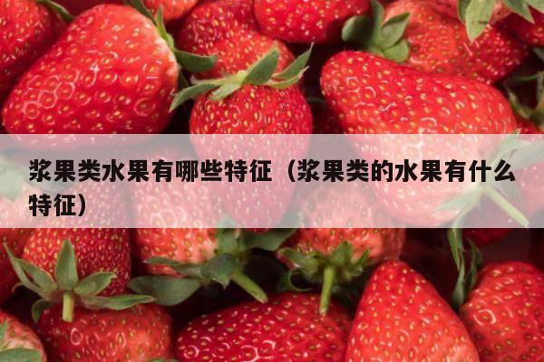 浆果类水果有哪些特征（浆果类的水果有什么特征）