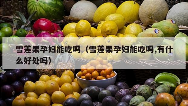 雪莲果孕妇能吃吗（雪莲果孕妇能吃吗,有什么好处吗）
