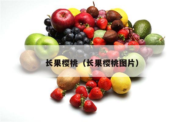长果樱桃（长果樱桃图片）