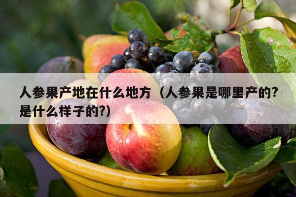 人参果产地在什么地方（人参果是哪里产的?是什么样子的?）