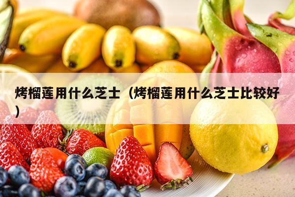 烤榴莲用什么芝士（烤榴莲用什么芝士比较好）