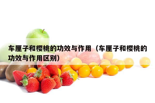 车厘子和樱桃的功效与作用（车厘子和樱桃的功效与作用区别）