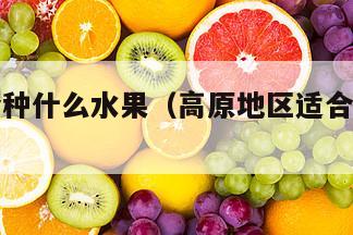 高原适合种什么水果（高原地区适合种什么水果）
