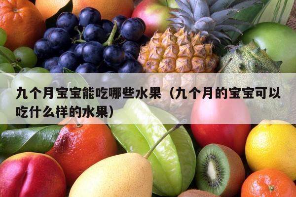 九个月宝宝能吃哪些水果（九个月的宝宝可以吃什么样的水果）