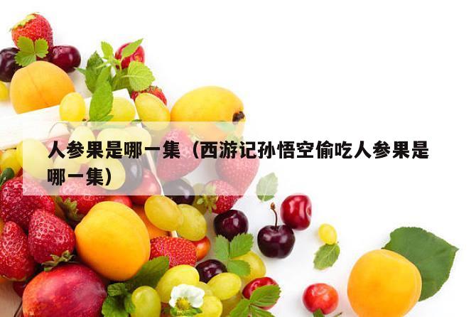 人参果是哪一集（西游记孙悟空偷吃人参果是哪一集）