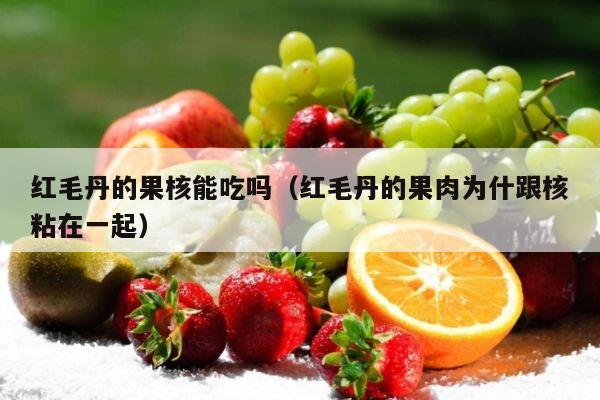 红毛丹的果核能吃吗（红毛丹的果肉为什跟核粘在一起）