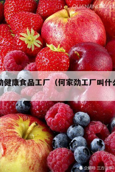 何家劲健康食品工厂（何家劲工厂叫什么名字）