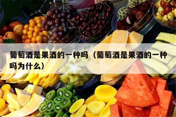 葡萄酒是果酒的一种吗（葡萄酒是果酒的一种吗为什么）