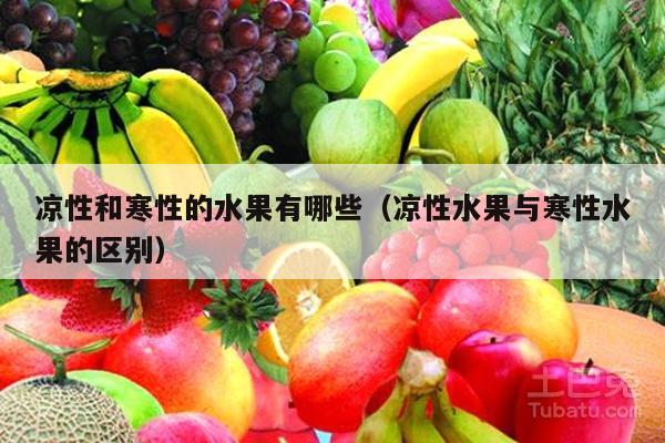 凉性和寒性的水果有哪些（凉性水果与寒性水果的区别）