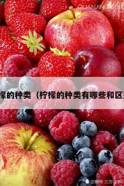 柠檬的种类（柠檬的种类有哪些和区别）