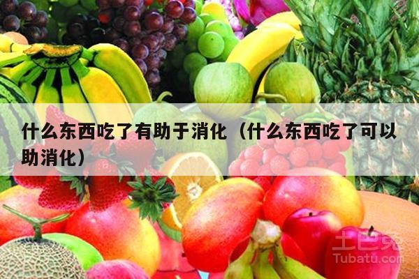 什么东西吃了有助于消化（什么东西吃了可以助消化）