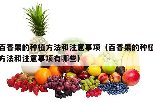 百香果的种植方法和注意事项（百香果的种植方法和注意事项有哪些）