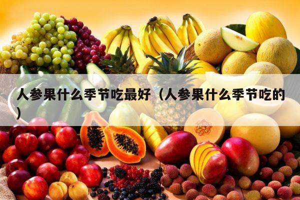 人参果什么季节吃最好（人参果什么季节吃的）