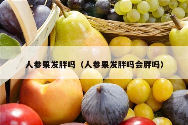 人参果发胖吗（人参果发胖吗会胖吗）
