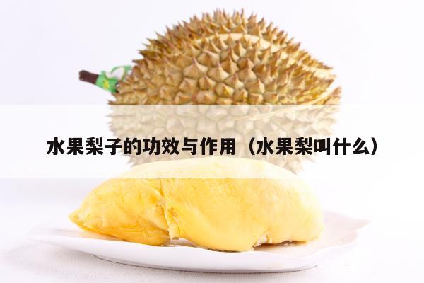 水果梨子的功效与作用（水果梨叫什么）