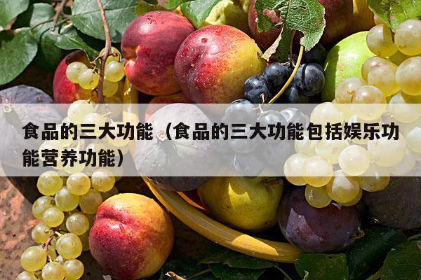 食品的三大功能（食品的三大功能包括娱乐功能营养功能）