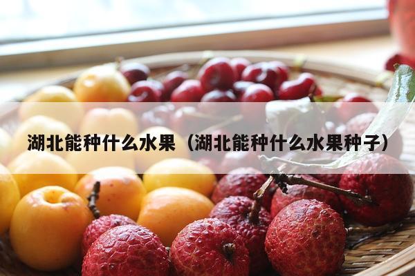 湖北能种什么水果（湖北能种什么水果种子）